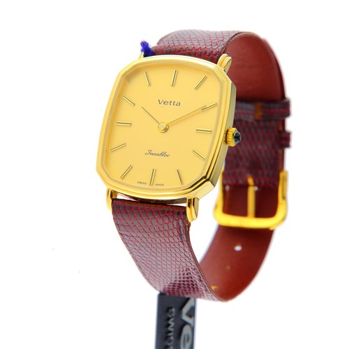 Orologio vetta uomo incabloc - orologio,