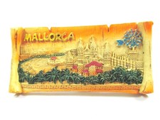 Calamita Maiorca Spagna