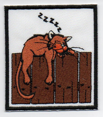 Patch ricamo toppa gatto - ricamo,