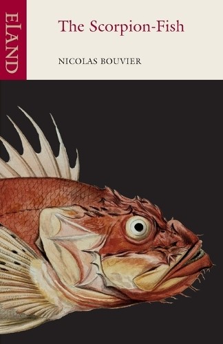 Nicolas bouvier the - nicolas,