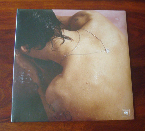 Harry styles - harry,