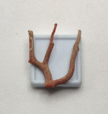 Vintage 100% naturale corallo