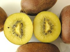 25 SEMI DI KIWI VARIETA'