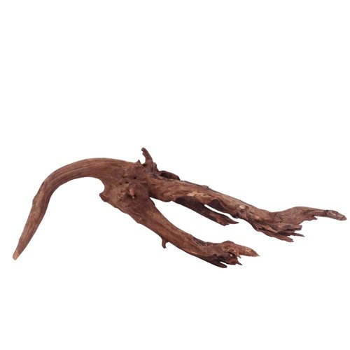 Aquaone driftwood radice in - driftwood,