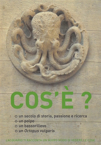 Cartolina milano - 43-70),