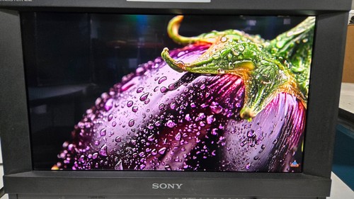 Sony pvm 1741 1080p - 17", oled