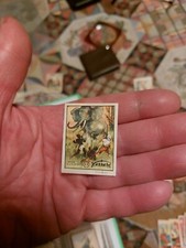 Ferrero Figurina Anni 50/60