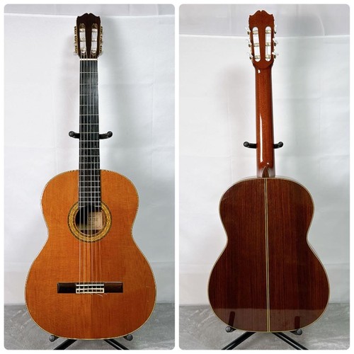 Chitarra acustica takamine - chitarra,