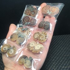 55g 10 paia piccole pietre