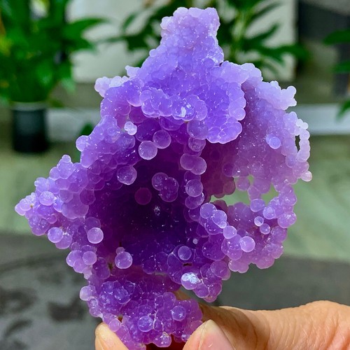46g agata uva - d'uva, viola