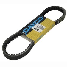 Dayco 8136K Cinghia A V