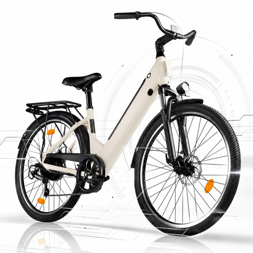 Bicicletta elettrica uomo