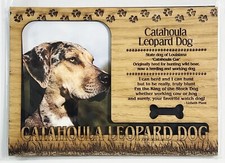 CATAHOULA LEOPARD Dog Profile