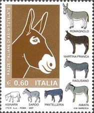 Italia 2007 razze - razze, di