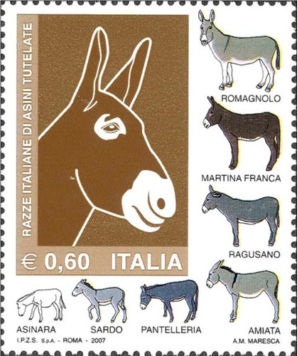 Italia 2007 razze - 2007, di