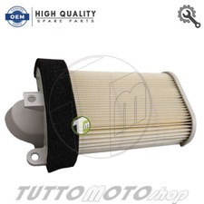 Filtro aria carter sinistro