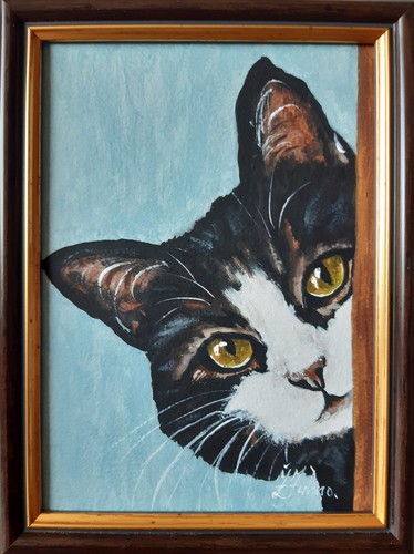 Quadro gatto nero - , animale