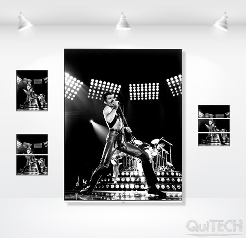 Freddie mercury quadro - freddie,