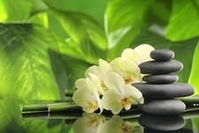 Fotomurale-ZEN DECO-(2797J)-NON TESSUTO-Carta da parati-Pietra fiore foglia bambù