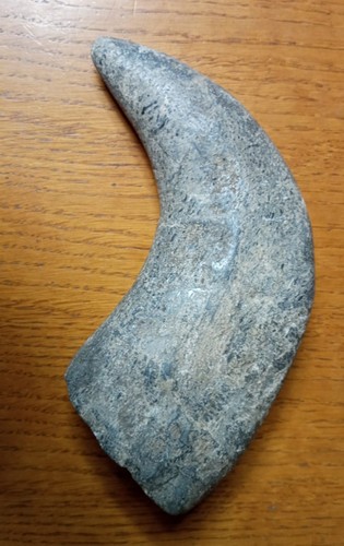 Antico corno originale - originale, di