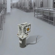 Motoriduttore 12V DC, 120W