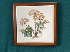 SOTTOPENTOLA VILLEROY BOTANICA PIASTRELLA “ carum carvi “ OTTIMO VINTAGE