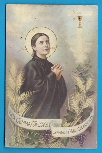 Gemma galgani 797 - s.,
