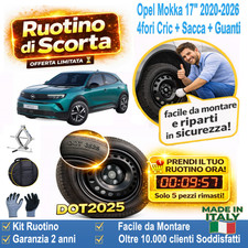 Ruotino di Scorta 17” per