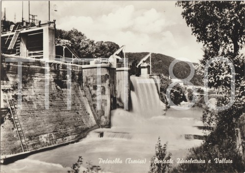 Pederobba centrale - pederobba,