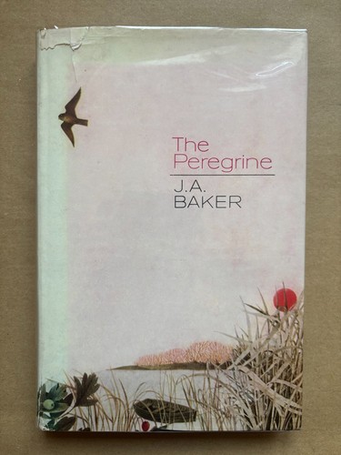 Baker the peregrine 1967 - j,