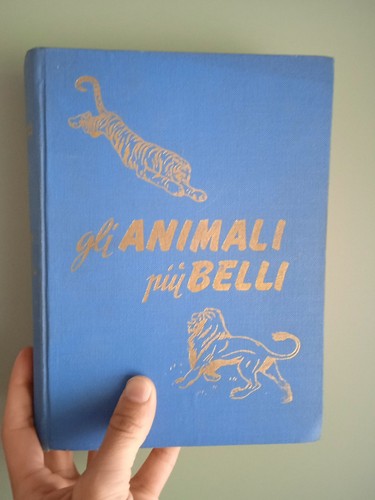 Gli animali più - più, belli,