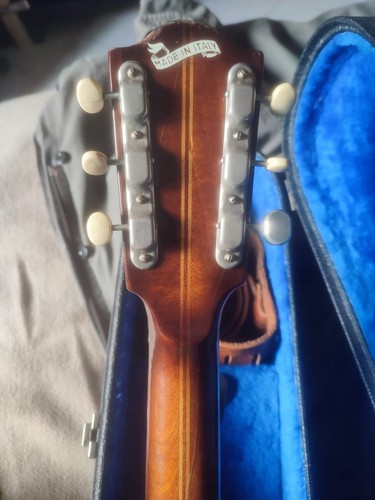 Chitarra semiacustica eko - semiacustica,