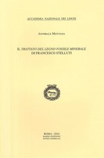 Il «Trattato del legno