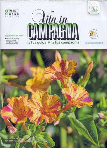 Rivista vita campagna 6 - rivista, n.