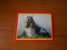 FIGURINA CANI & GATTI N. 115 - ED.VALLARDI 1986 - CS.33