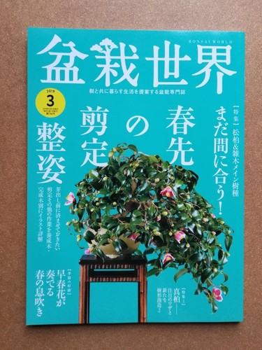 Bonsai world march 2019 - world,