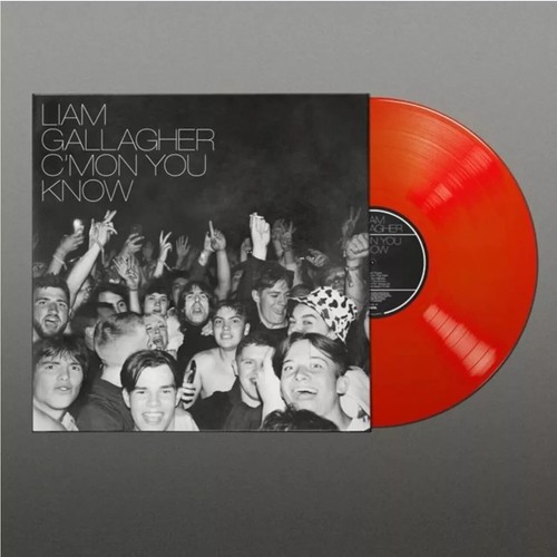 Liam gallagher mon you - liam,