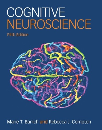 Cognitive neuroscience - cognitive,