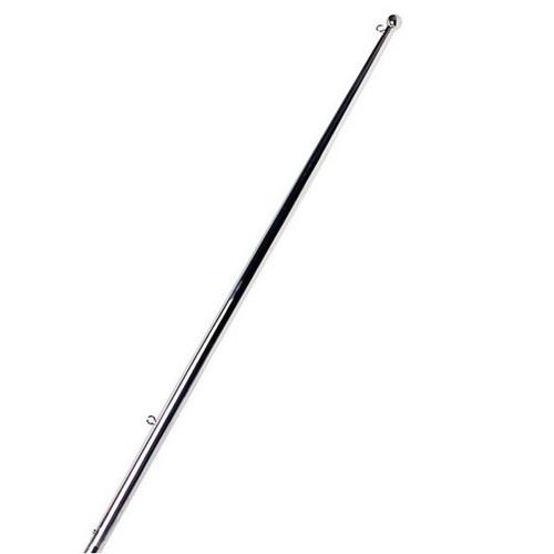 Asta bandiera inox con - asta,
