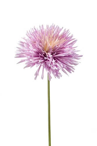 Crisantemo artificiale viola - crisantemo,