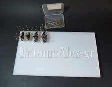 Pinning board piano - pinning,