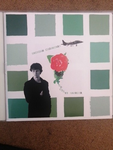 Brendan croskerry goodbye - brendan, cd