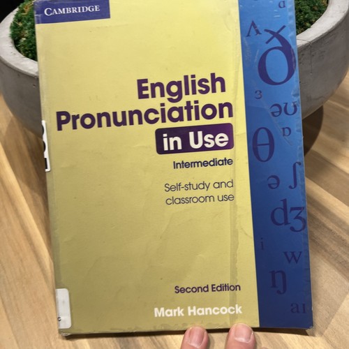English pronunciation use - english, in