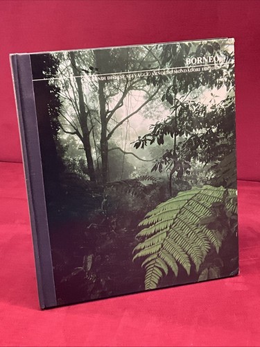 Borneo grandi distese - -,