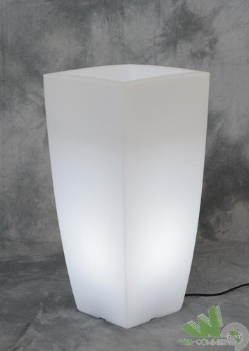 Vaso fiori piante illuminato - fiori,