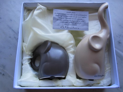Coppia elefanti in - elefanti,
