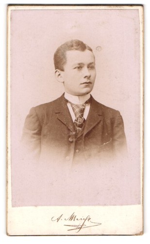 Fotografia meise zschopau - meise,,