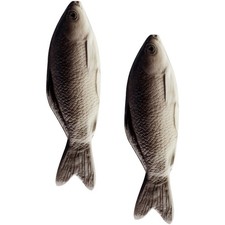  2 Pcs Peluche Pesce Cuscini