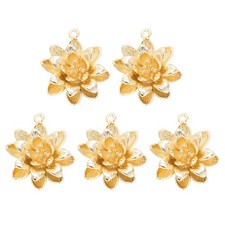 5 Pcs Accessori Per