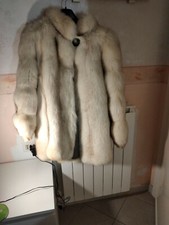 VOLPE BIANCA GROENLANDIA